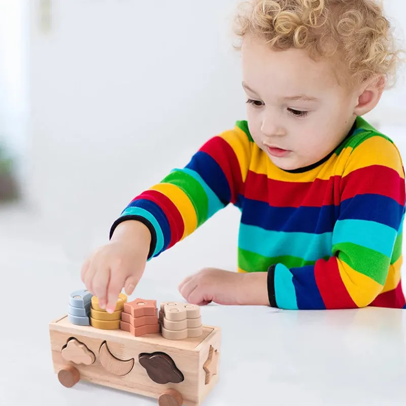 Woods™ - Playful Sorting - Sorteringsspil Outlet